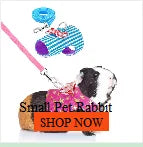 Parrot Chew Toy with Wooden Blocks for Large Birds