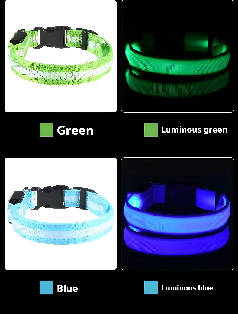 Luminous LED Dog Collar