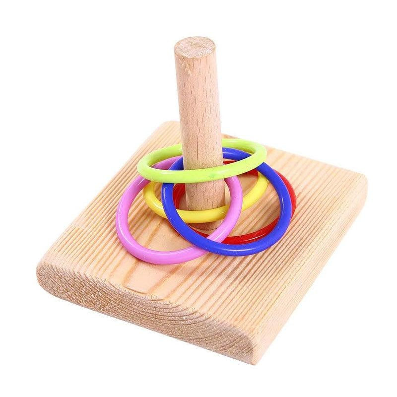Bird Training Ring Toy — Interactive Educational Parrot Toy