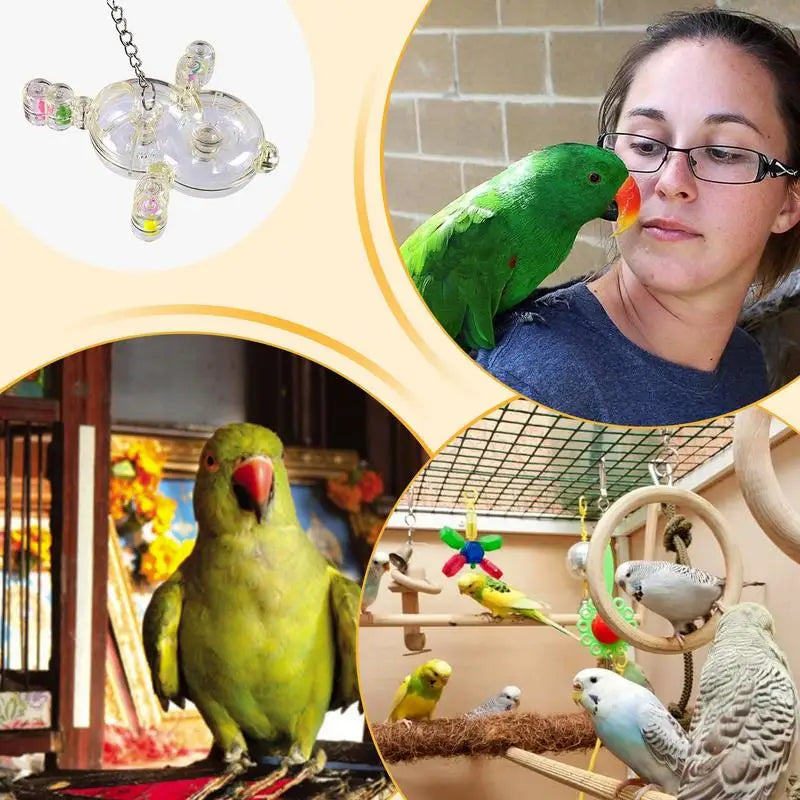 Parrot Spinner Toy