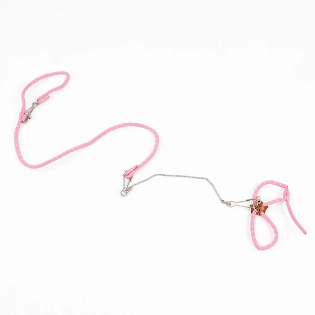 Adjustable Soft Harness & Leash for Small Pets and Birds