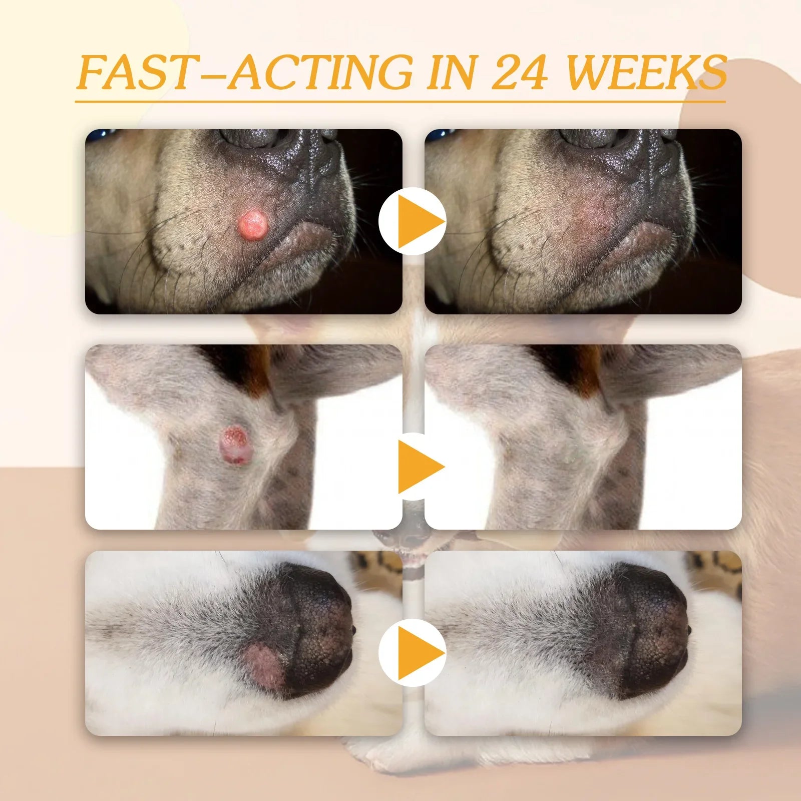 Dog Wart Remover Cream