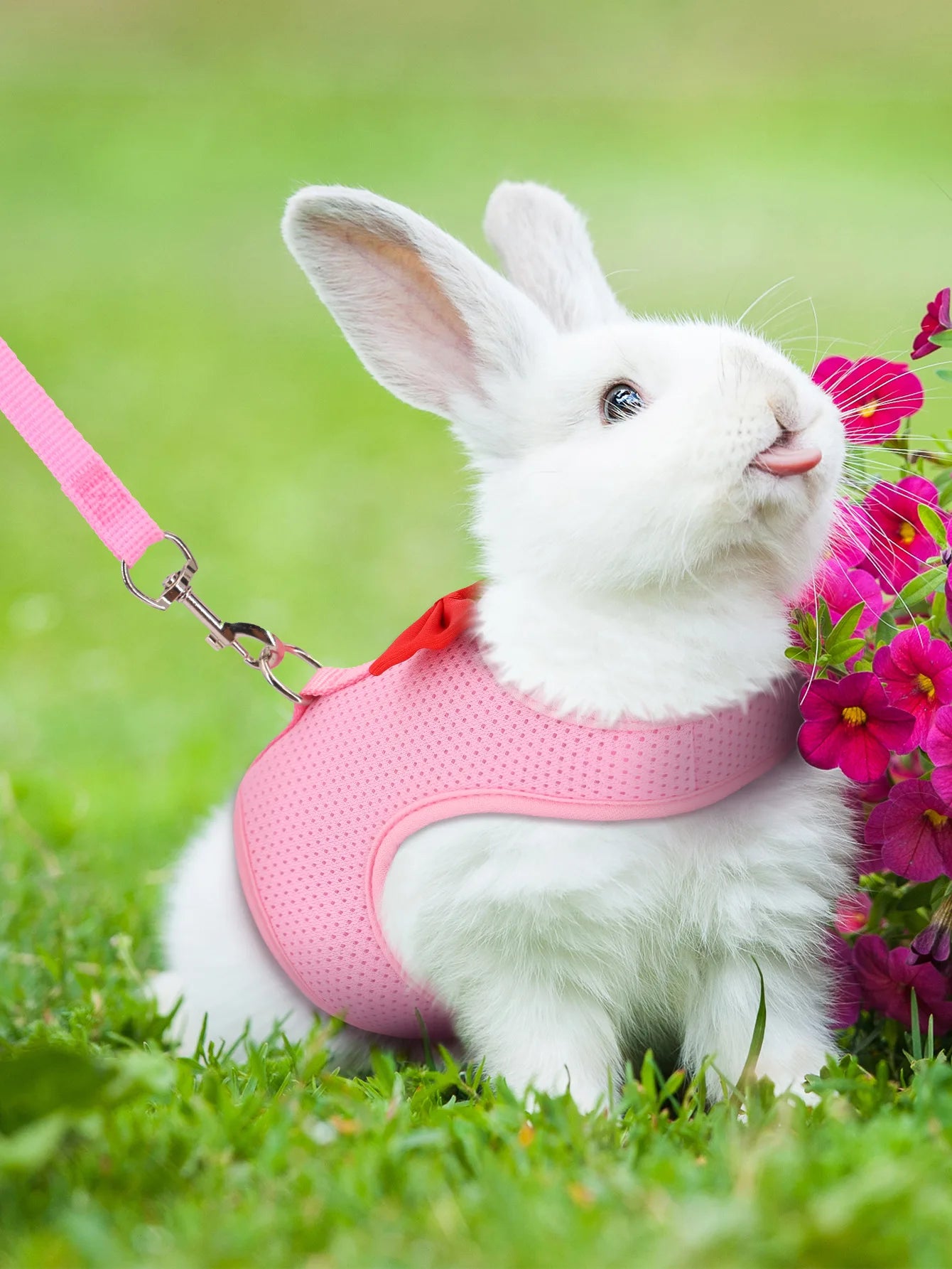 Soft Mesh Comfort Harness Vest for Rabbits & Small Pets