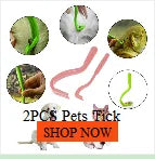 Parrot Chew Toy with Wooden Blocks for Large Birds
