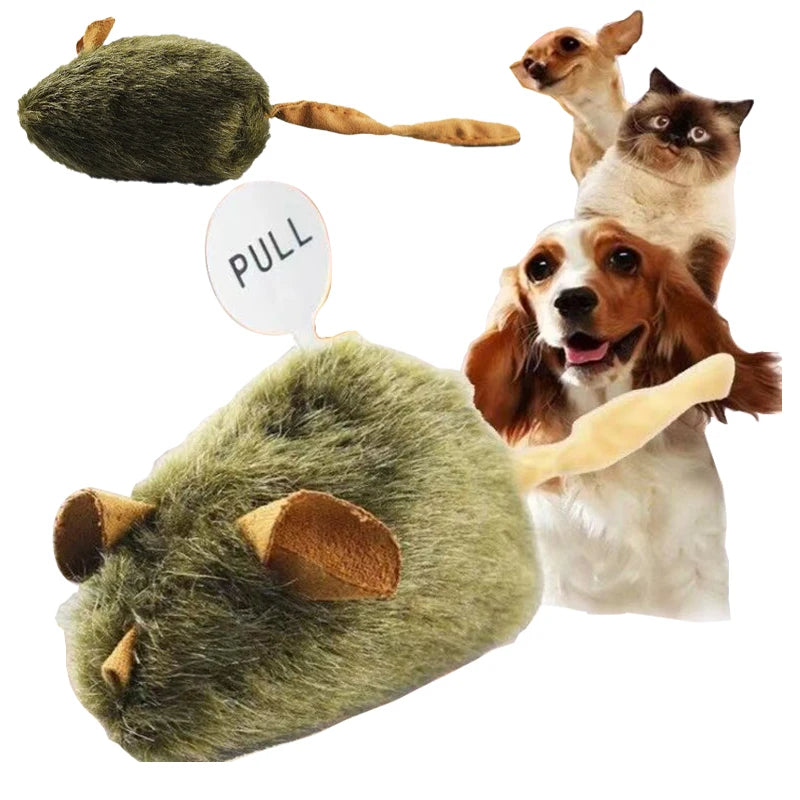 Interactive Chirping Mouse for Kittens to Relieve Boredom