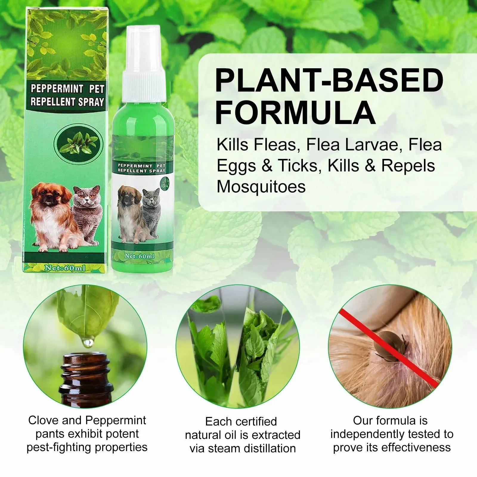 Natural Flea & Tick Spray for Dogs & Cats