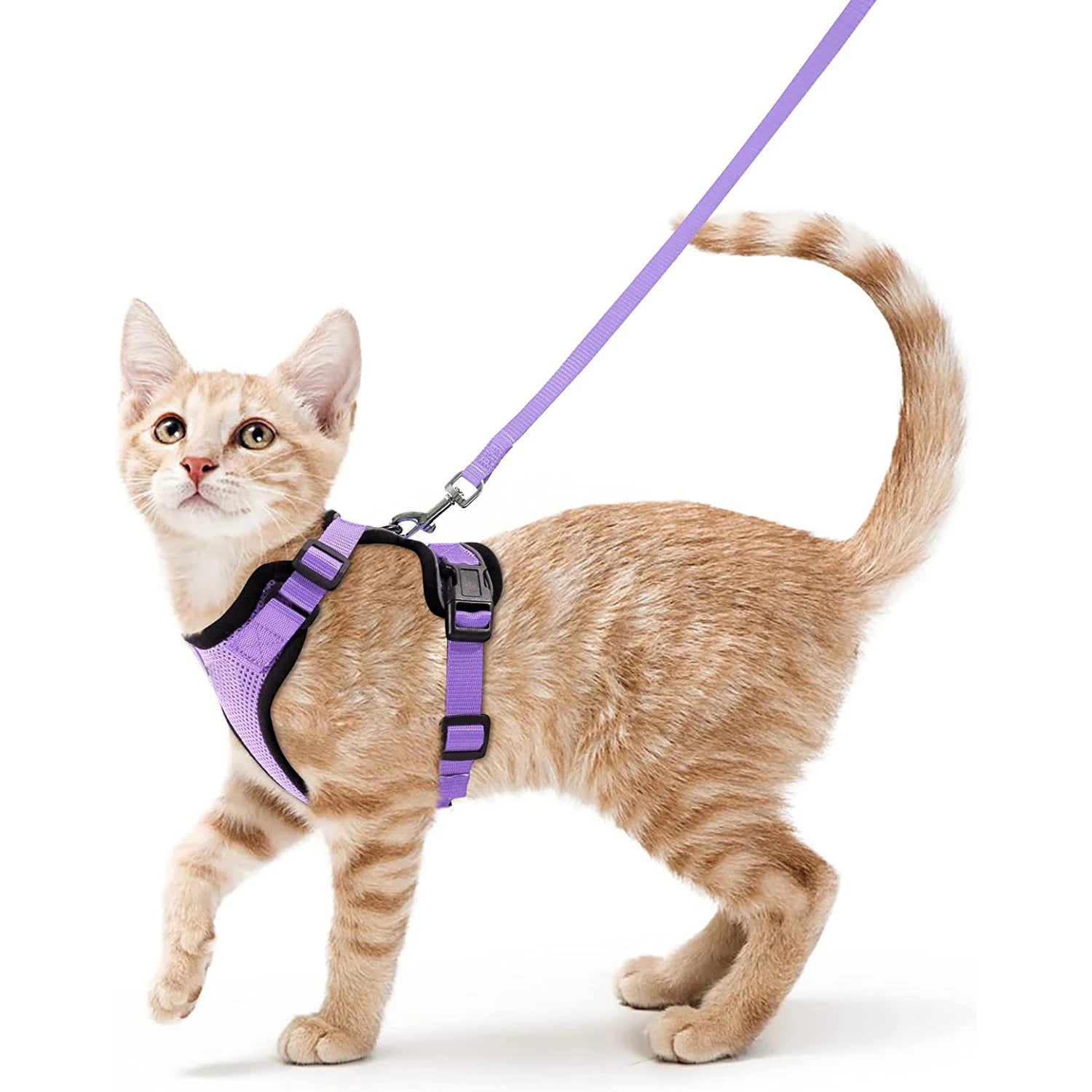 Escape-Proof Cat Harness & Leash Set