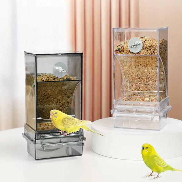 Large Capacity Splash-Proof Automatic Bird Feeder for Small Parrots