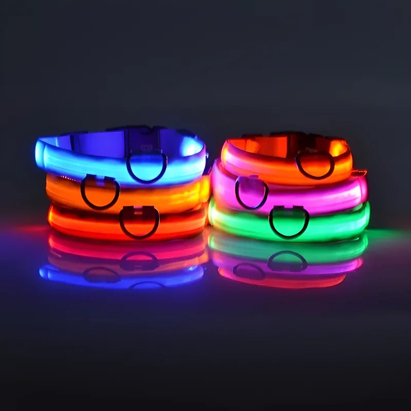 Luminous LED Dog Collar