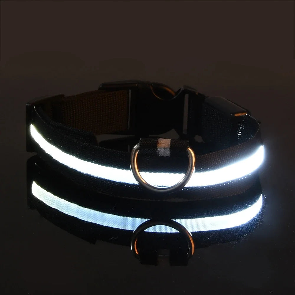 Luminous LED Dog Collar