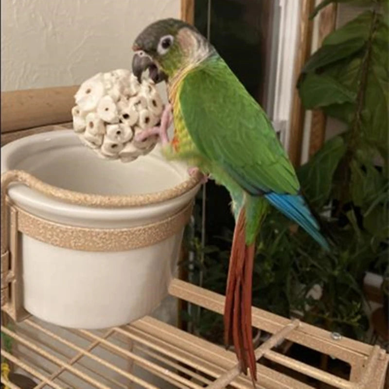 Natural Sola Ball Bird Chewing & Foraging Toys