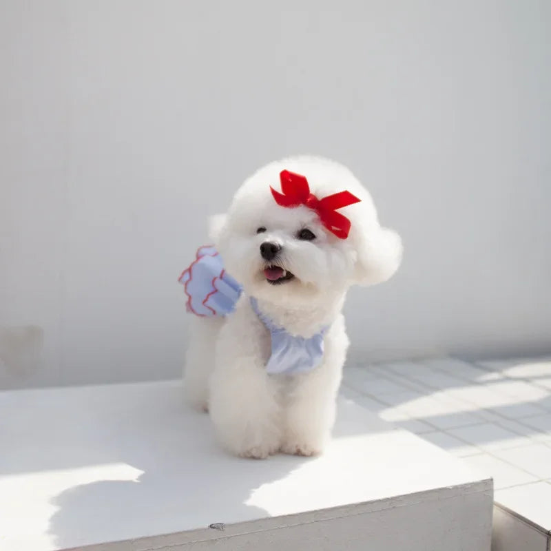 Dog Summer Princess Dress, Cute Skirt for Small Dogs, Puppies & Cats