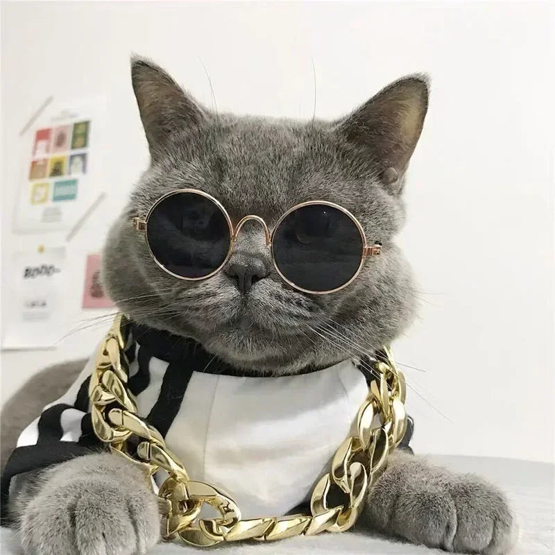 Cute Pet Sunglasses – UV Protection for Small Dogs, Cats & Photo Props