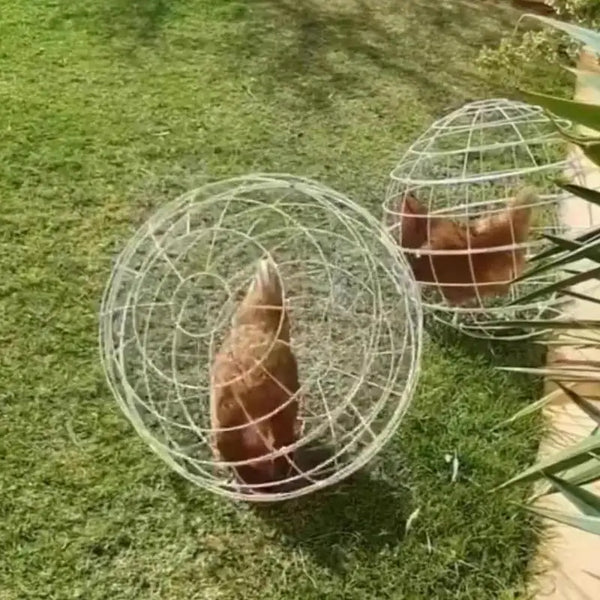 3-Piece Chicken Rolling Safety Ball Cages for Small Pets