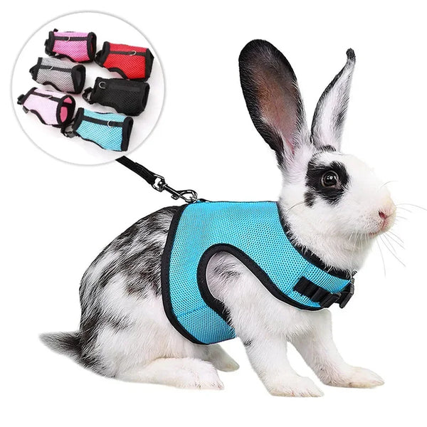 Multi-Color Breathable Vest & Adjustable Harness with Leash for Small Pets
