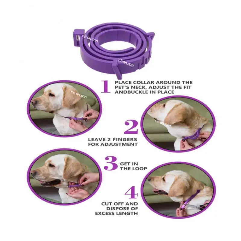 Adjustable Calming Collar for Cats & Dogs