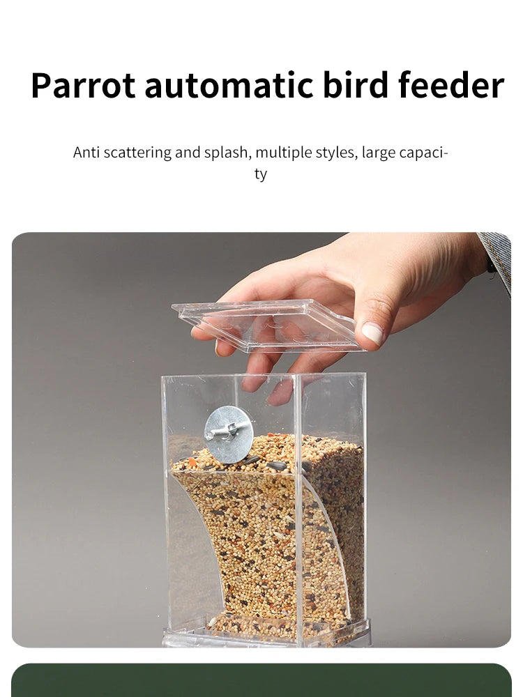 Spill-Proof Automatic Bird Feeder — Splash-Proof Outdoor Feeder for Parrots & Birds