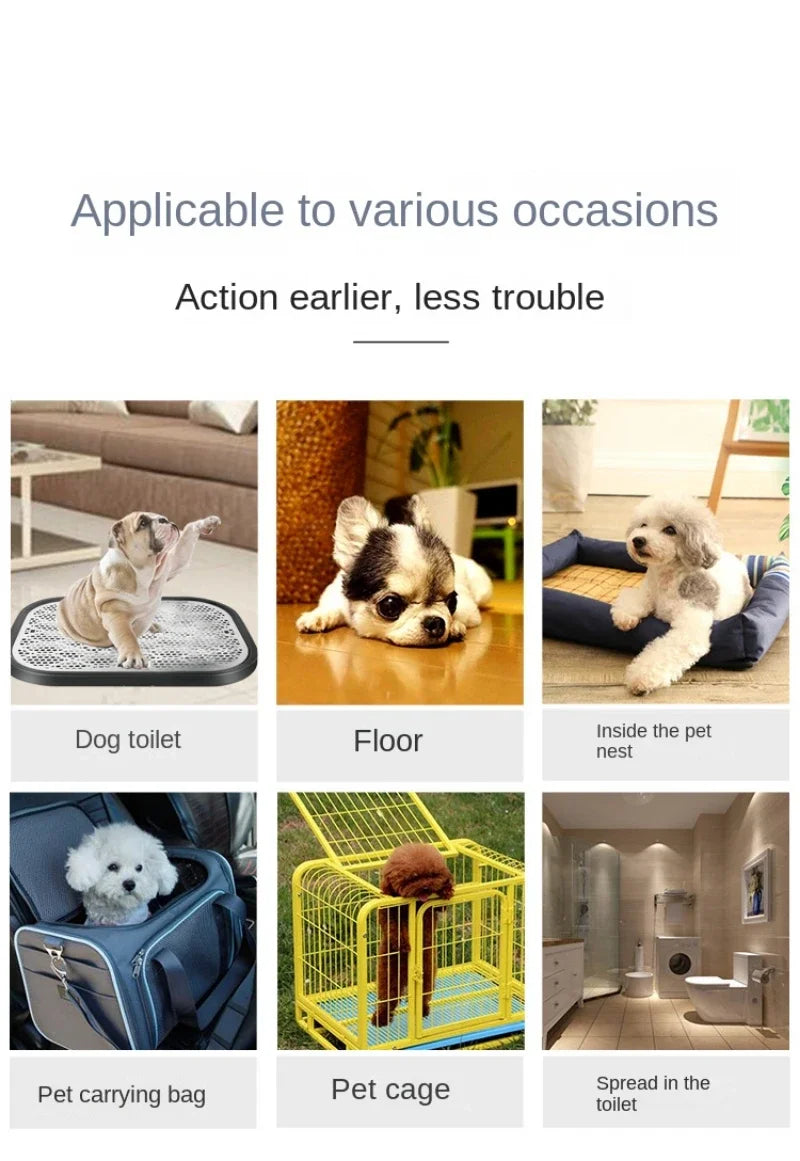 Disposable Absorbent Dog Diapers & Puppy Training Pads