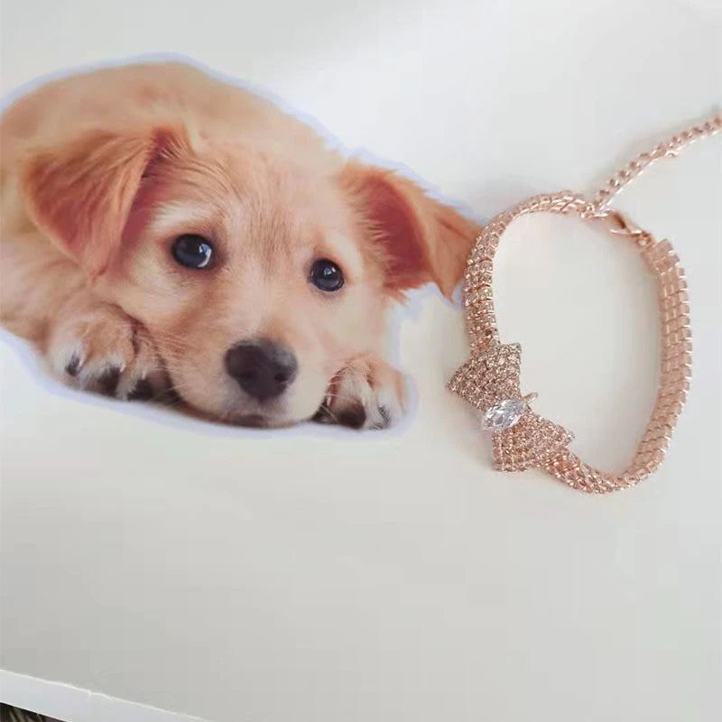 Zircon Bow Tie Pet Collar, Adjustable Rose Gold Dog & Cat Necklace with Gift Box