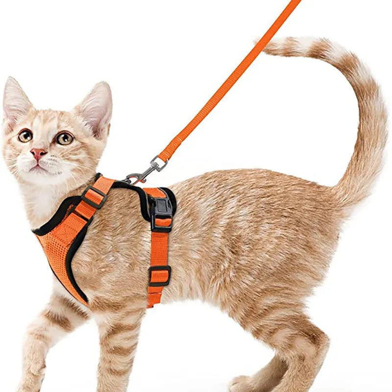 Escape-Proof Cat Harness & Leash Set