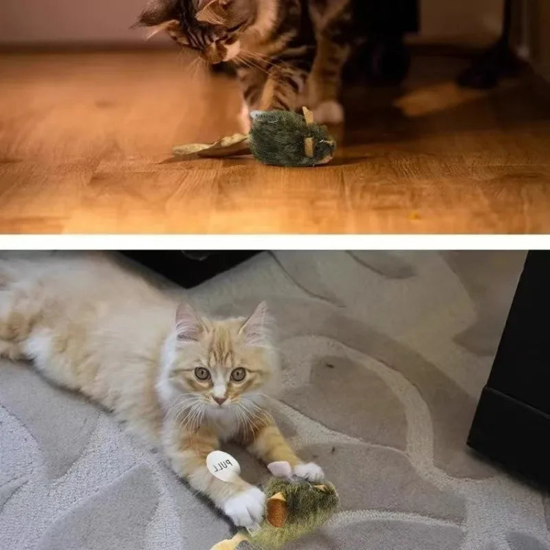 Interactive Chirping Mouse for Kittens to Relieve Boredom
