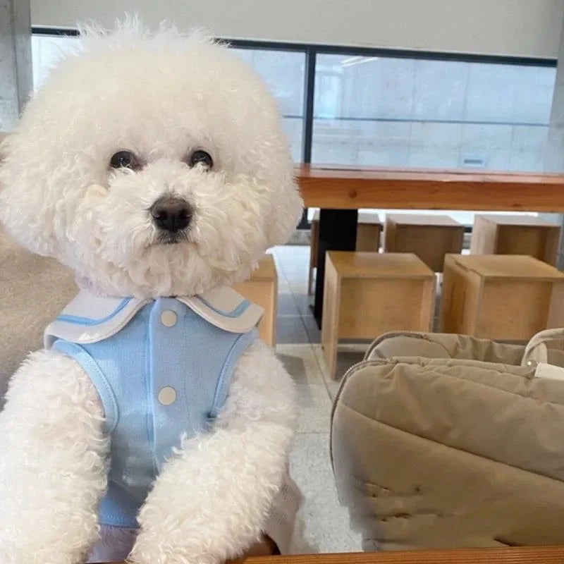 Striped Polo Shirt for Small & Medium Dogs, Puppy T-Shirt Vest