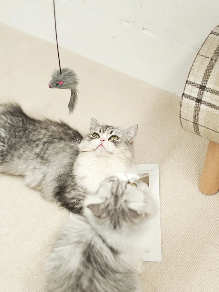 Retractable Hanging Cat Toy with Simulated Mouse, Interactive Door Teaser