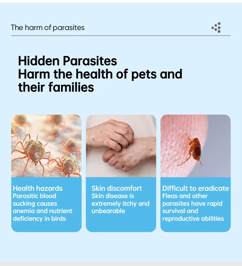 Bird Mite & Lice Spray – Parrot & Cage Insect Repellent