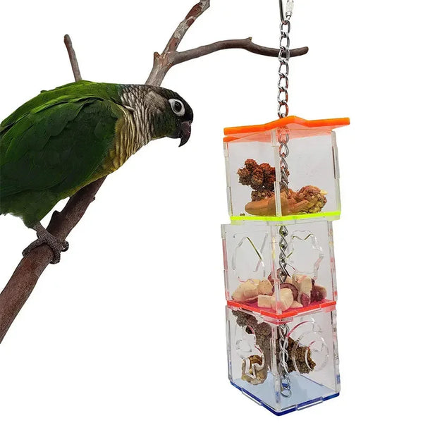 Acrylic Parrot Puzzle Toy