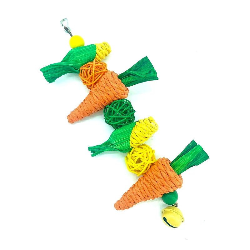 Parrot Chew & Cage Hanging Toy