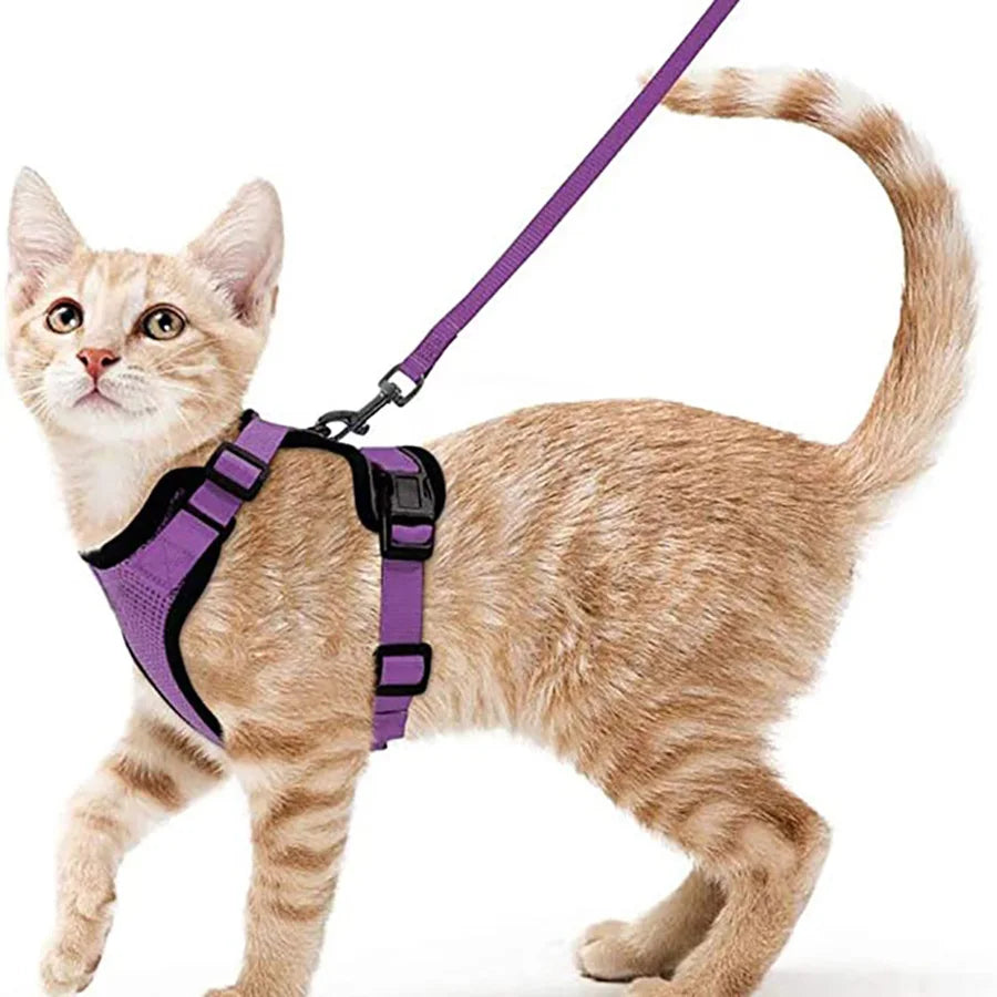 Escape-Proof Cat Harness & Leash Set