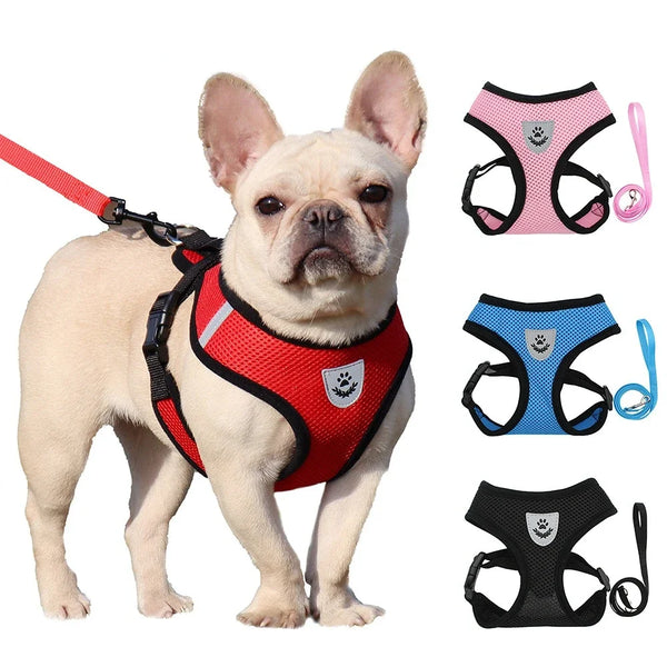 Breathable Mesh Pet Harness & Leash Set