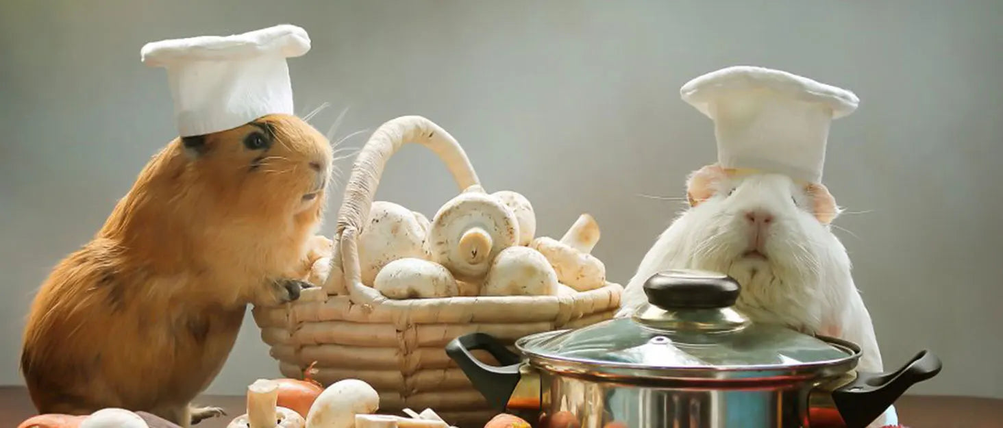 30×30cm EVA Foam Pet Warming Pad & Sleeping Mat for Small Animals