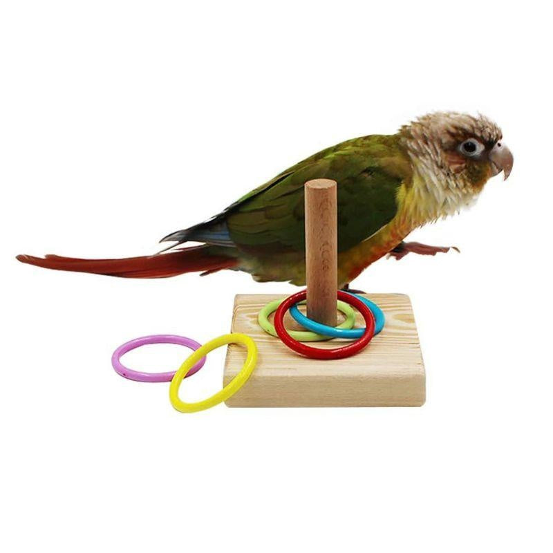 Bird Training Ring Toy — Interactive Educational Parrot Toy