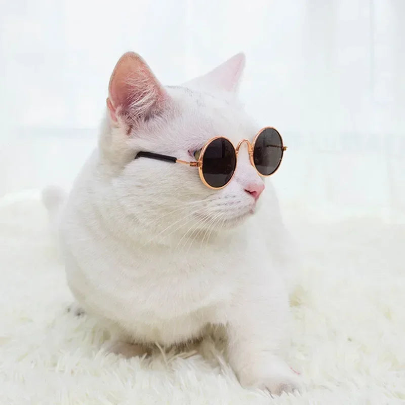 Cute Pet Sunglasses – UV Protection for Small Dogs, Cats & Photo Props
