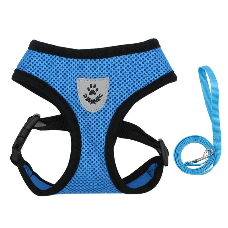 Breathable Mesh Pet Harness & Leash Set