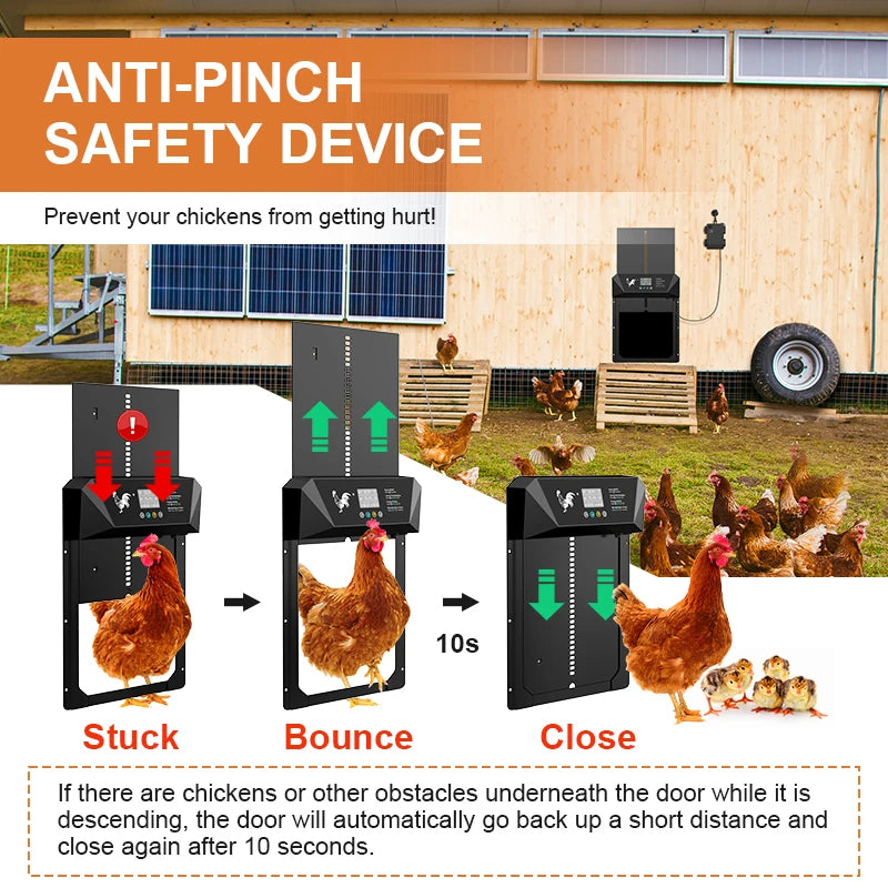 Large Automatic Chicken Coop Door