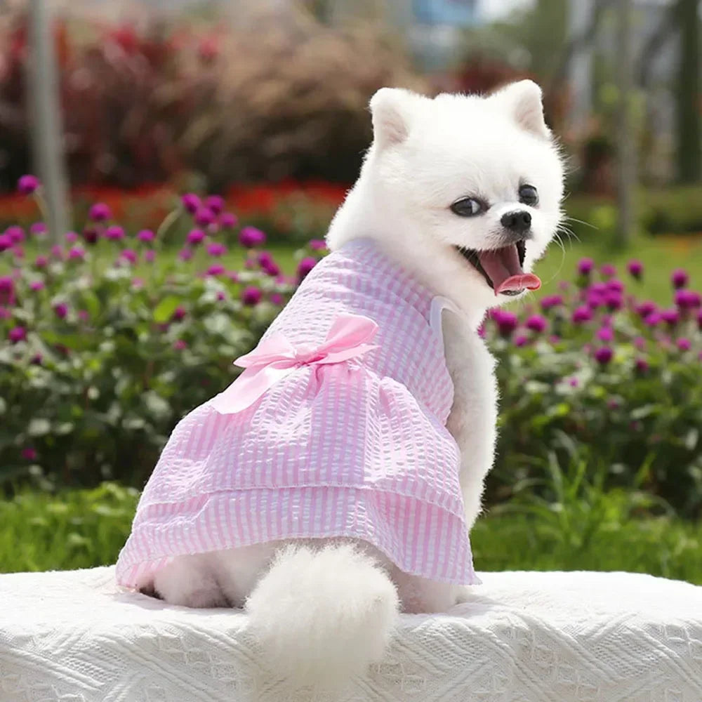Summer Princess Dog Dress, Tutu Skirt Outfit for Small Dogs, Puppies & Cats