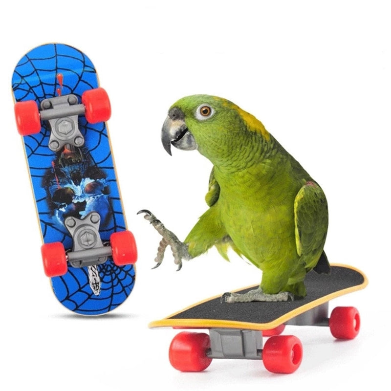 4-Piece Parrot Toy Set with Basketball, Skateboard, Stacking Toy & Trolley