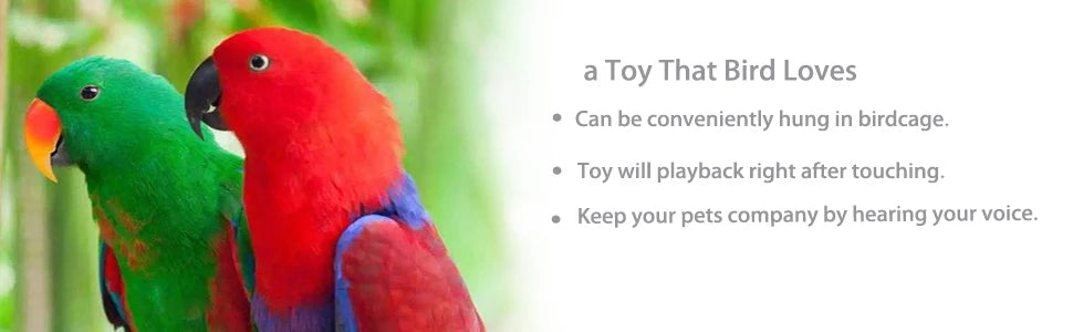 Interactive Talking Training Toy for Parrots — Voice Recording & Playback
