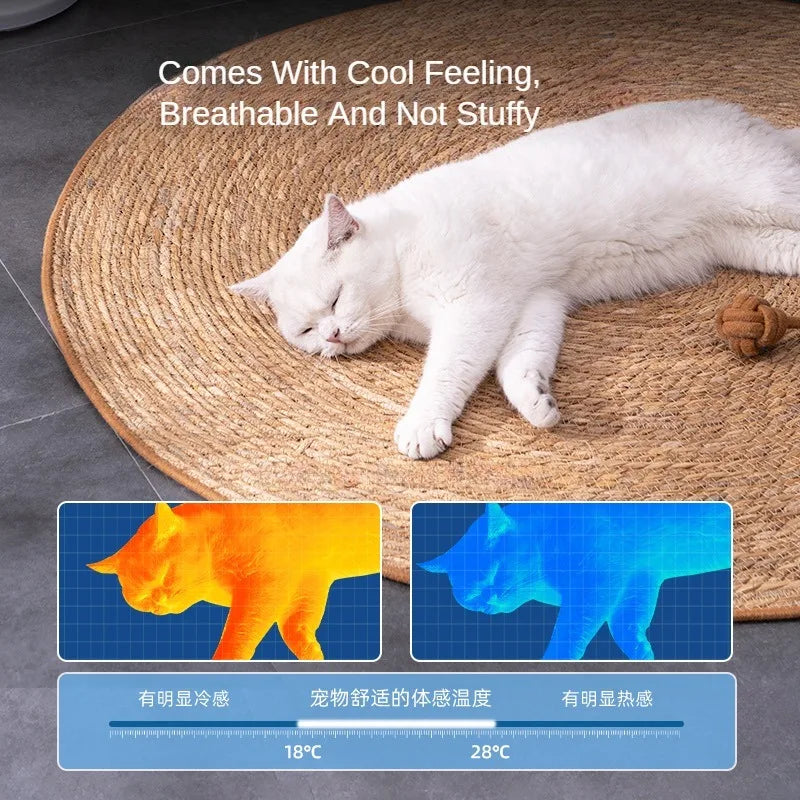 Rattan Cat Scratcher Mat – Nail Sharpening Board & Furniture Protector