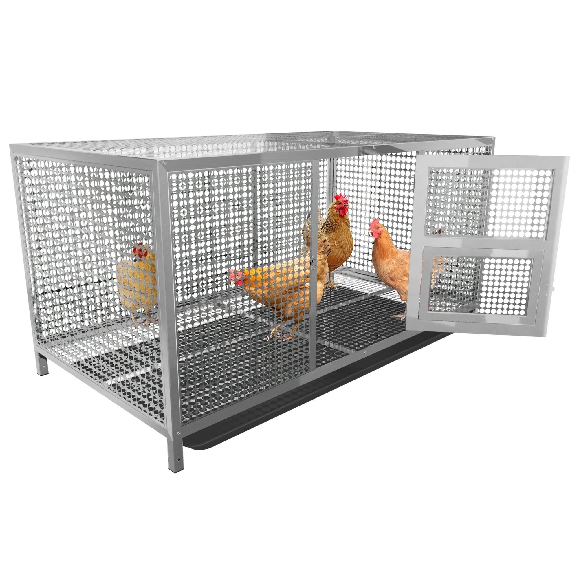 Heavy-Duty Stainless Steel Chicken Coop