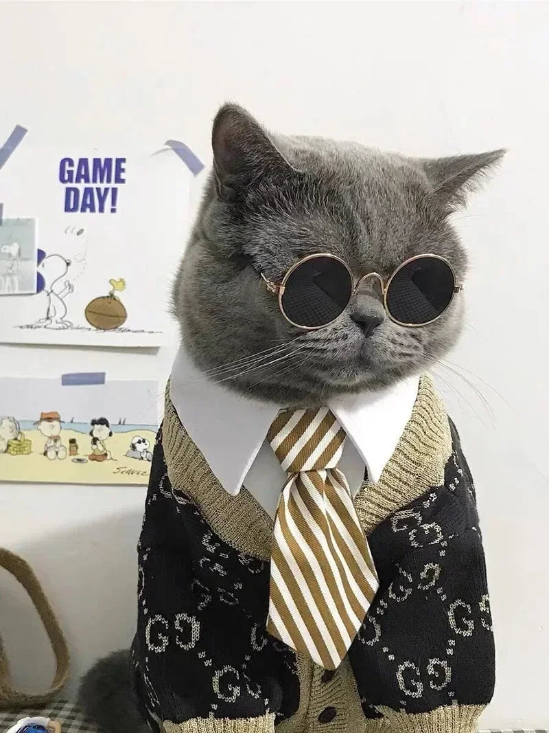 Cute Pet Sunglasses – UV Protection for Small Dogs, Cats & Photo Props