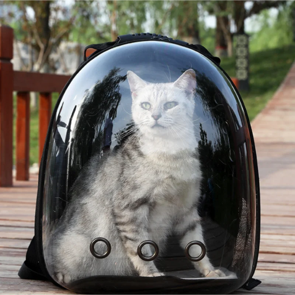 Transparent Space Capsule Pet Backpack