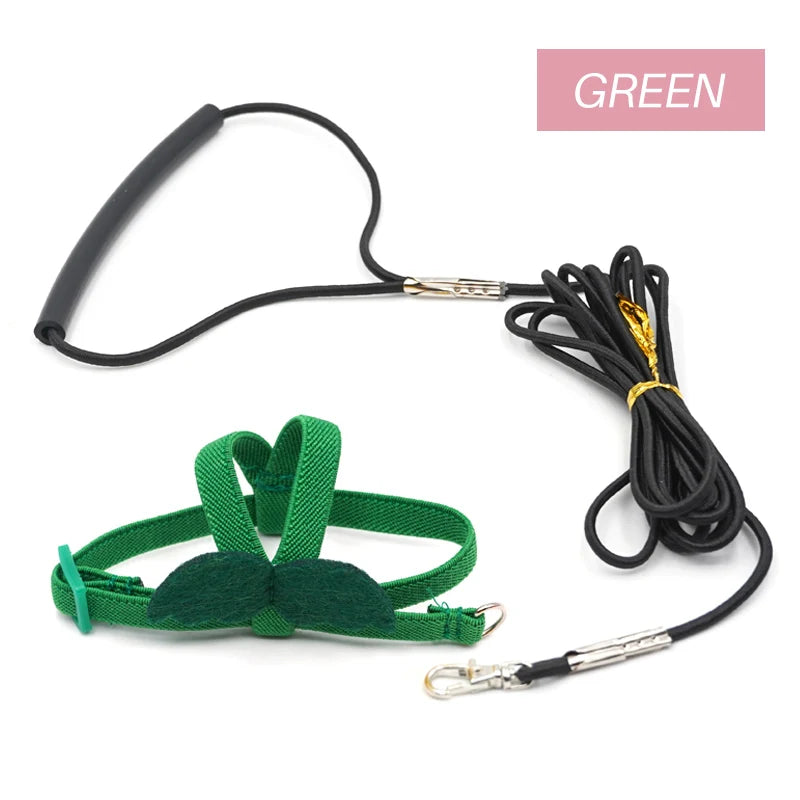 Long Cable Bird Harness & Leash