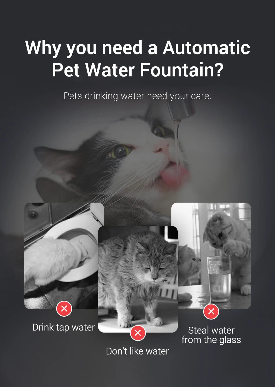 ROJECO Smart Automatic Pet Water Fountain with Recirculating Filter for Cats & Dogs