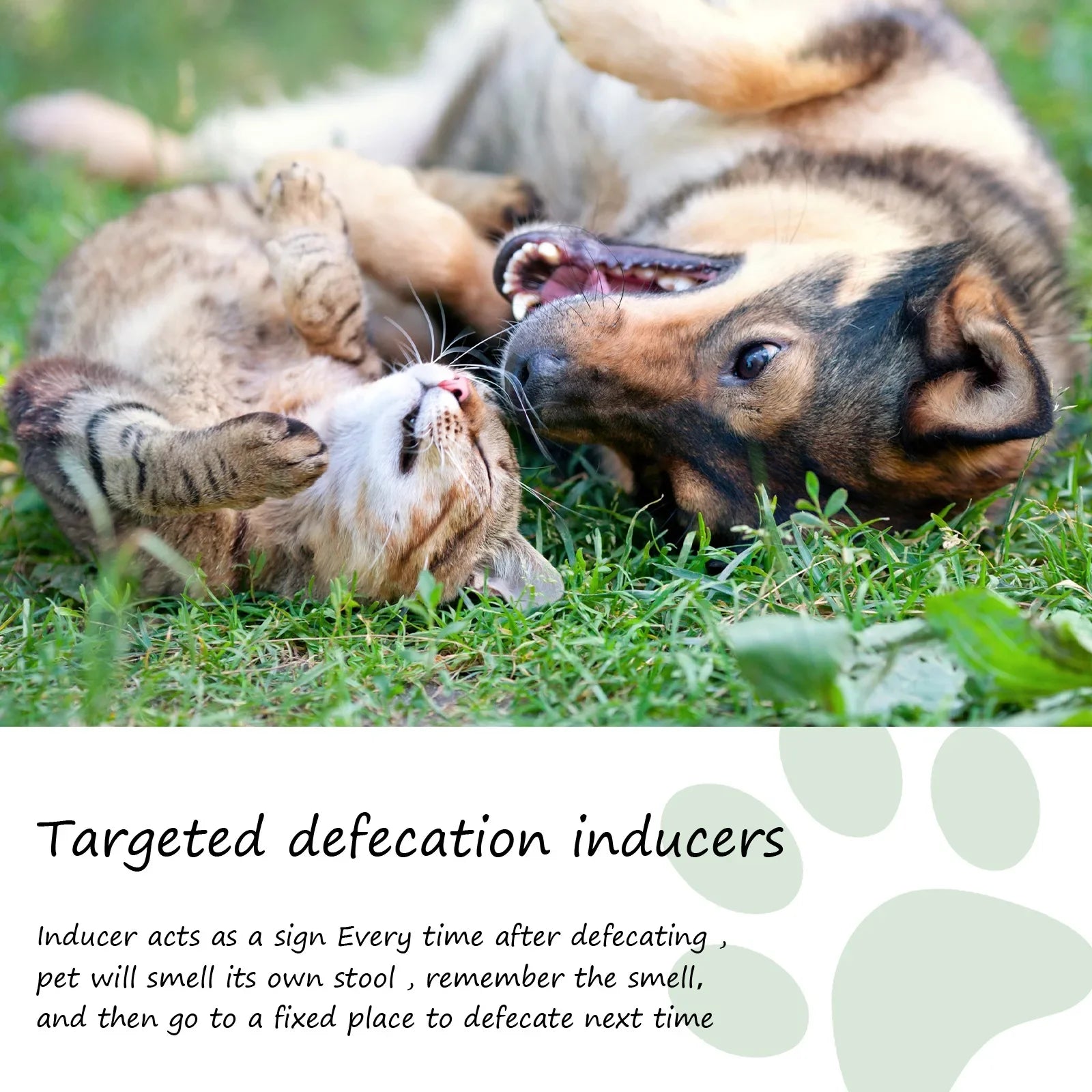 Pet Toilet Training Spray – Indoor Puppy & Cat Potty Training Aid