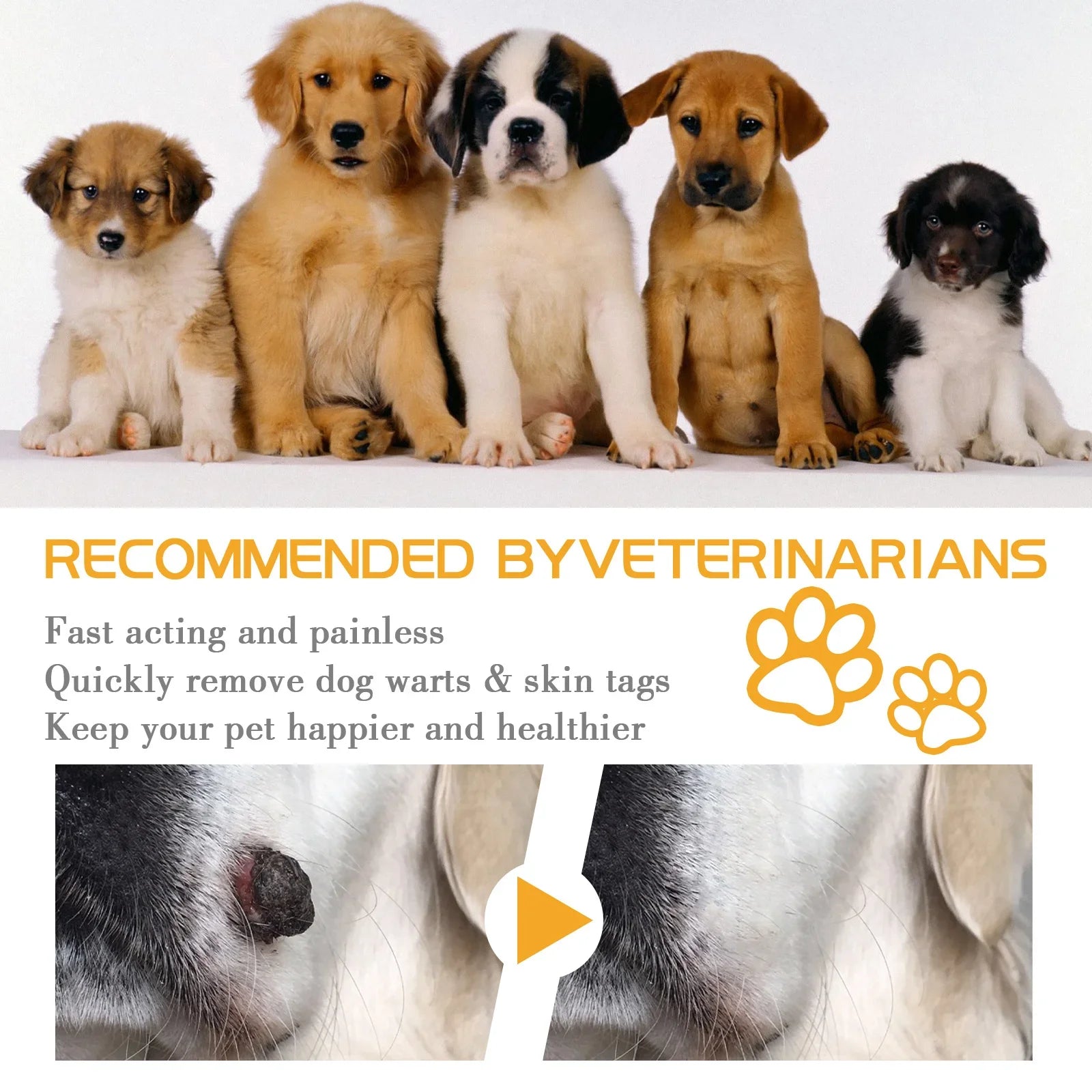 Dog Wart Remover Cream
