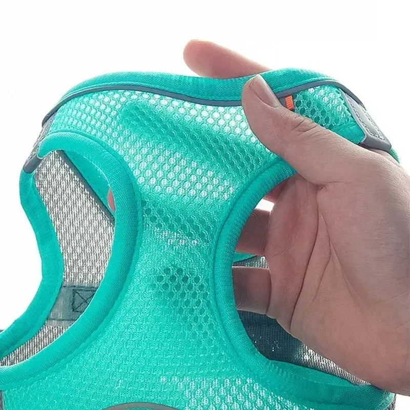 Adjustable Vest for Small Dogs & Cats