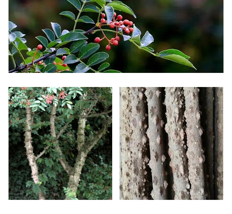 Natural Wooden Parrot Chew Toy — Bird Cage Chewing & Destruction Toy